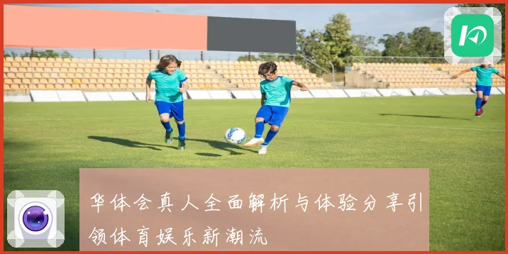 华体会真人全面解析与体验分享引领体育娱乐新潮流